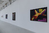 Vue de l'exposition à la recherche d'images, collection dkw., Cottbus, 2013 - Passerelle Centre d'art contemporain, Brest © photo : Nicolas Ollier