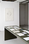 Alan Fertil, The Smoken Ridge, 2022 - Passerelle Centre d'art contemporain, Brest © photo : Aurélien Mole
