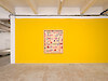 Sara Ouhaddou in Pulsar, 2025 - Passerelle Centre d'art contemporain, Brest © photo : Aurélien Mole - Courtesy de l'artiste et galerie Polaris, Paris