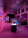 Mounir Ayache in Pulsar, 2025 - Passerelle Centre d'art contemporain, Brest © photo : Aurélien Mole