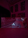 Mounir Ayache in Pulsar, 2025 - Passerelle Centre d'art contemporain, Brest © photo : Aurélien Mole