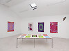 H·Alix Sanyas & Bye Bye Binary in Leader Pride 2, 2025 - Passerelle Centre d'art contemporain, Brest © photo : Aurélien Mole
